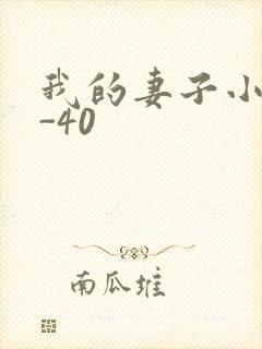 我的妻子小谨1-40