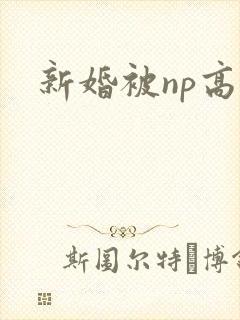 新婚被np高h