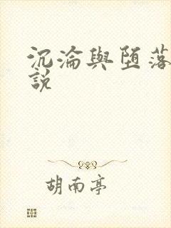 沉沦与堕落的小说