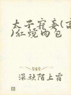 太子宠妾(高肉)红烧肉包