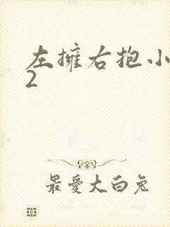 左拥右抱小1V2