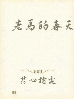 老马的春天敏静