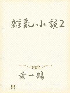 杂乱小说2