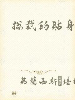 总裁的贴身女佣