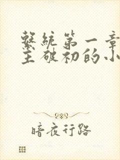 系统第一章给宿主破初的小说