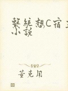 系统想C宿主的小说