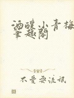 酒酿小青梅po笔趣阁