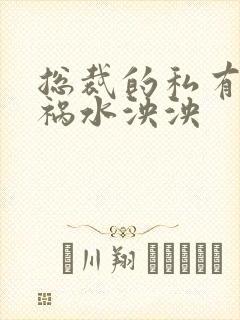 总裁的私有宝贝祸水泱泱