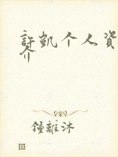 许凯个人资料简介