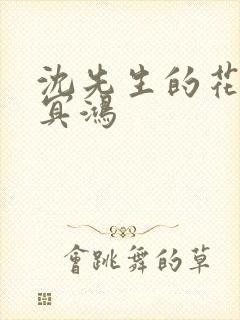 沈先生的花式调冥鸿