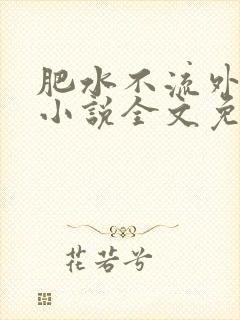 肥水不流外人田小说全文免费阅读1