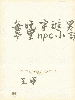 每晚穿进男神的梦里npc小说