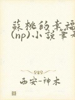 苏桃的幸福生活(np)小说笔趣阁沐沐