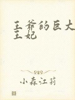 王爷的巨大进入王妃