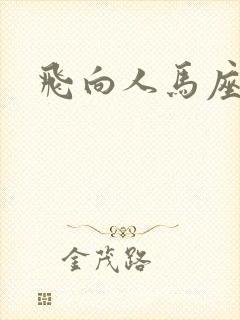 飞向人马座