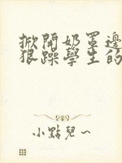 掀开奶罩边躁狠狠躁学生的小文字