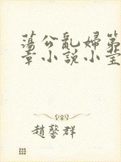 荡公乱妇第51章小说小莹