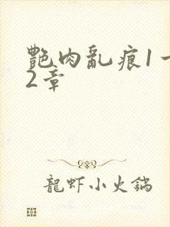 艳肉乱痕1一12章