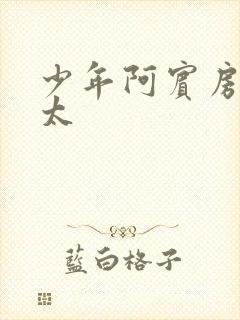 少年阿宾房东太太