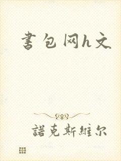 书包网h文