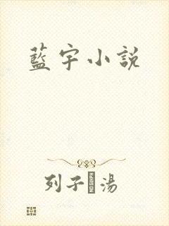 蓝宇小说
