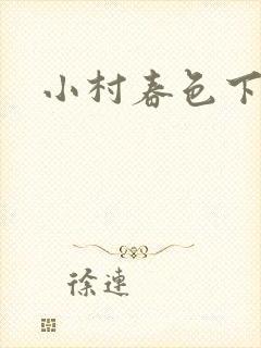 小村春色下载