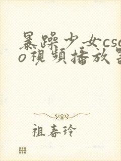 暴躁少女csgo视频播放器推荐