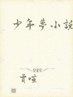 少年梦小说