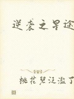 逆袭之星途闪耀