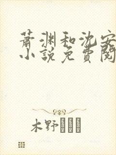 萧渊和沈安安的小说免费阅读