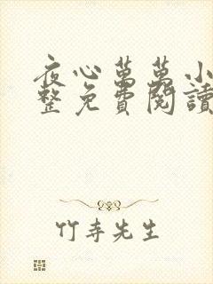 夜心万万小说完整免费阅读全文
