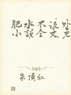 肥水不流外人田小说全文免费阅读1