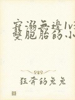 宠溺无边1v3双胞胎的小说