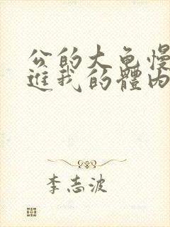 公的大龟慢慢挺进我的体内