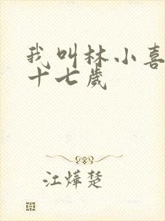 我叫林小喜今年十七岁