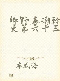 乡野春潮干柴烈火第六十三章
