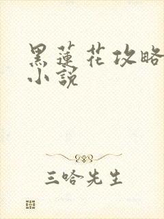 黑莲花攻略手册小说