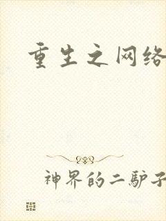 重生之网络大亨