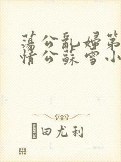 荡公乱妇第1章情公苏雪小说