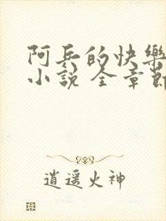 阿兵的快乐生活小说 全章节阅读免费