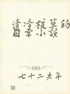 清冷校草的堕落日常小说