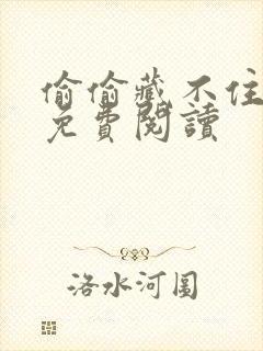 偷偷藏不住小说免费阅读