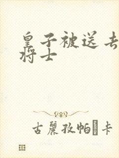 皇子被送去犒劳将士