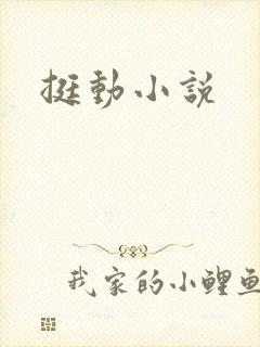 挺动小说