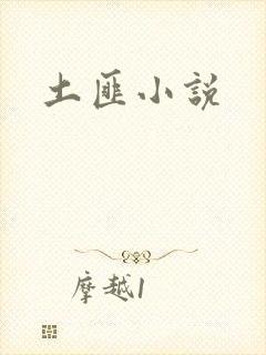 土匪小说