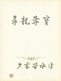 寻龙夺宝