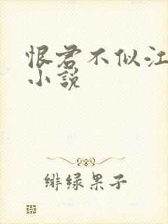 恨君不似江楼月小说