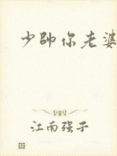 少帅你老婆