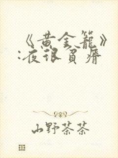 《黄金笼》作者:夜很贫瘠