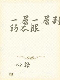 一层一层剥开我的衣服